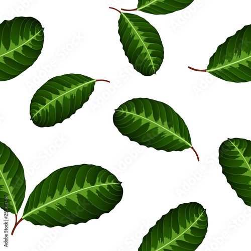 Seamless tropical pattern with green leaves  calathea. © KatyArtDesign