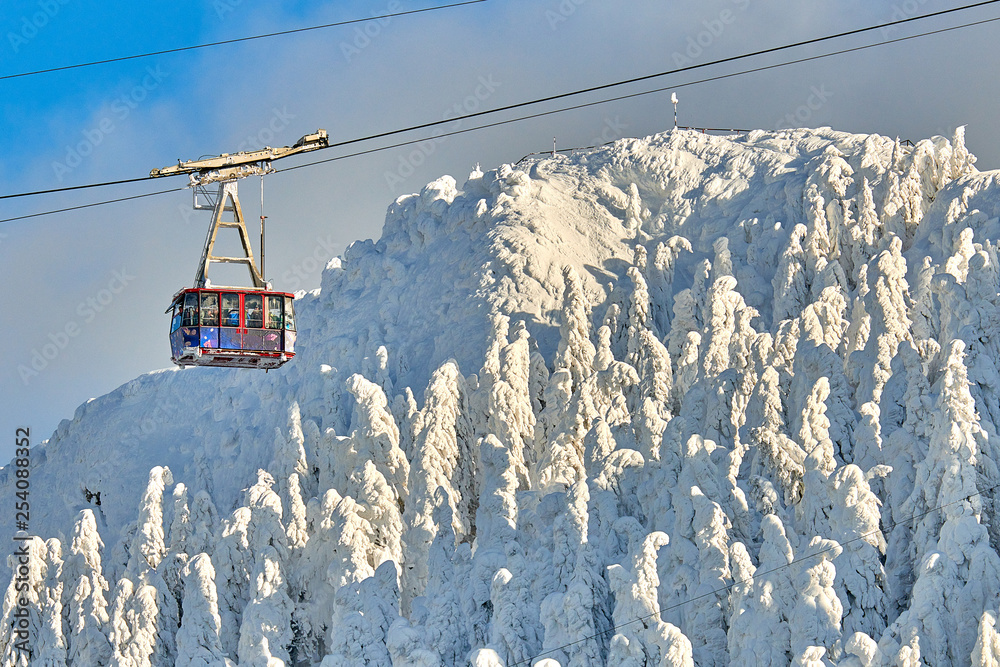 Cable car with skiers in Poiana Brasov ski resort, ski slopes whit forest covered in snow on winter season Cable car with skiers in Poiana Brasov ski resort, ski slopes whit forest covered in snow on winter season