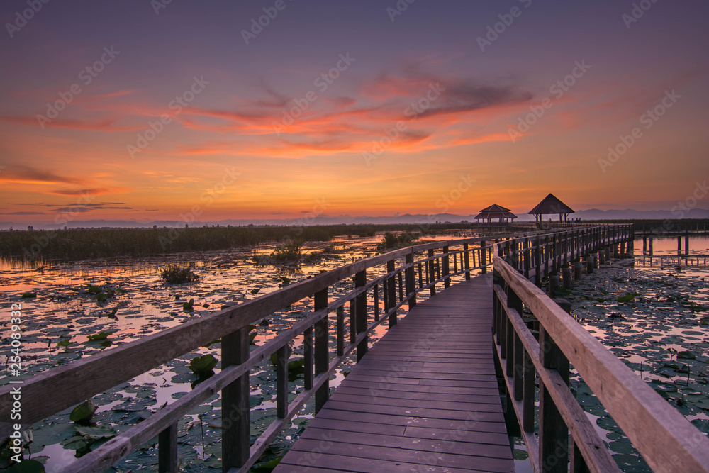 sunset landscape wood bridge 