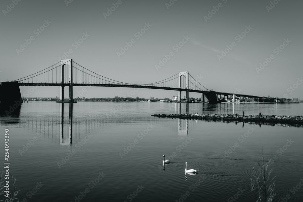 Fototapeta premium Throgs Neck Bridge with two swans swimming in foreground