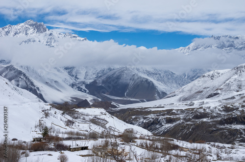 Snow Covered Wilderness