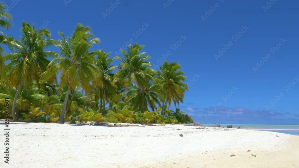 COPY SPACE: Untouched sandy coast and lush tropical vegetation on a sunny day. Warm summer wind blows down the pristine white sand beach and sways the vivid green palm tree canopies. Paradise island. COPY SPACE: Untouched sandy coast and lush tropical vegetation on a sunny day. Warm summer wind blows down the pristine white sand beach and sways the vivid green palm tree canopies. Paradise island.