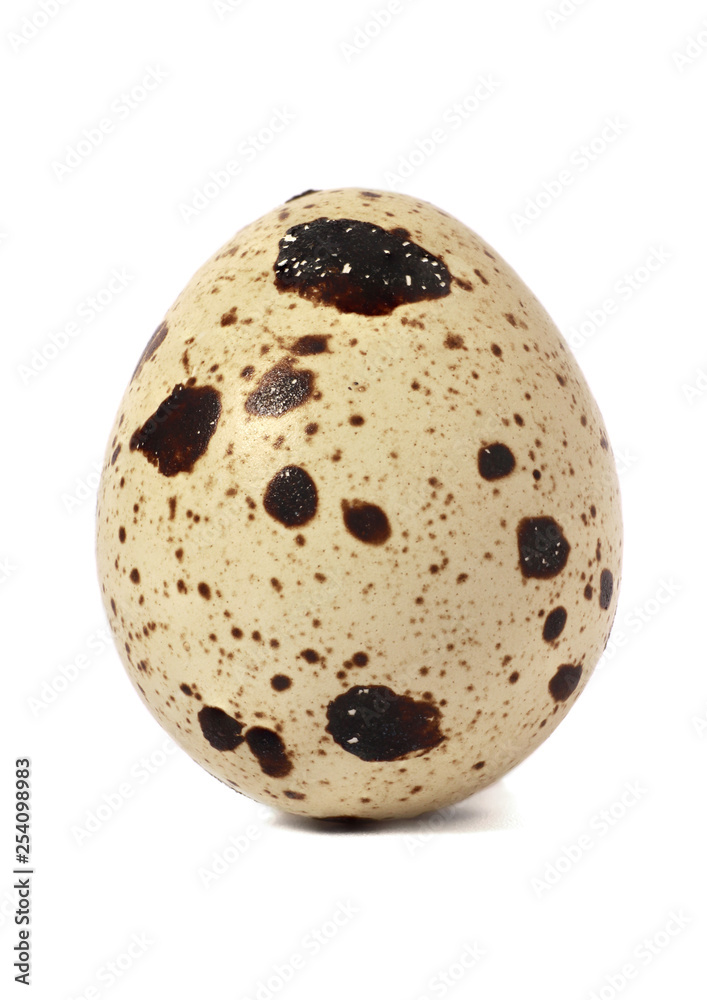 Quail egg macro close-up isolated on white Quail egg macro close-up isolated on white