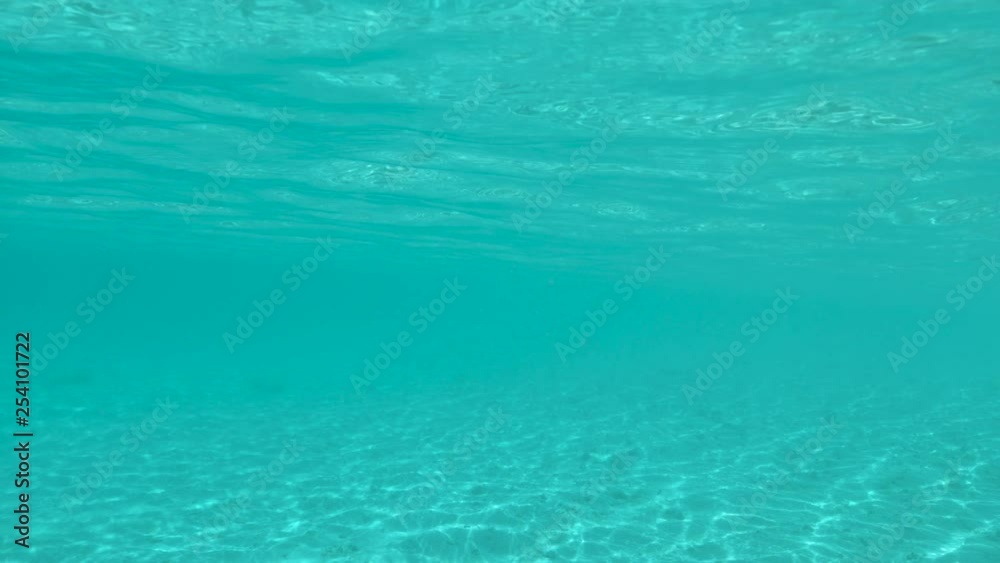 SLOW MOTION, UNDERWATER: Beautiful view of the untouched ocean floor in the vast crystal clear Pacific. Bright summer sunlight shines through the tranquil surface of the exotic sea by paradise island. SLOW MOTION, UNDERWATER: Beautiful view of the untouched ocean floor in the vast crystal clear Pacific. Bright summer sunlight shines through the tranquil surface of the exotic sea by paradise island.