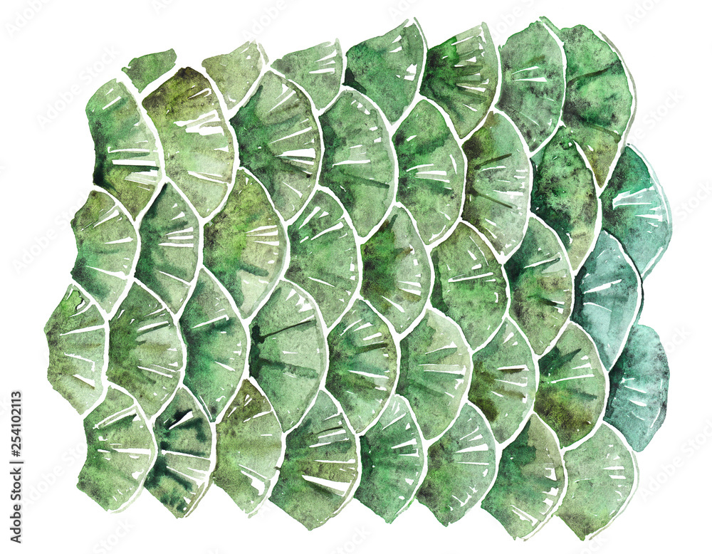 Obraz premium Wild Texture Watercolor. Exotic print. Feathers. Snake Skin. Crocodile Skin. Fish Scales
