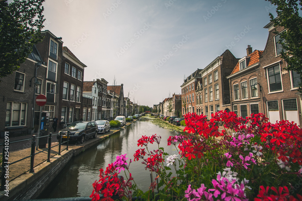 Dutch flowers and canals in Rotterdam