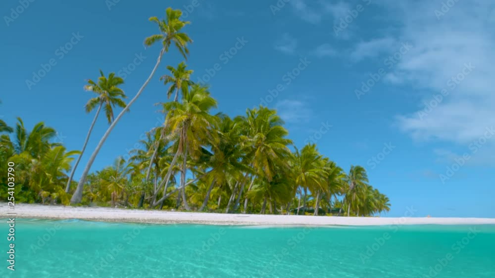 SLOW MOTION HALF UNDERWATER: Tall vibrant green palm trees cover the unspoiled white sand beach on beautiful One Foot Island. Cool shot of beautiful sandy shore of a remote tropical island in Pacific.