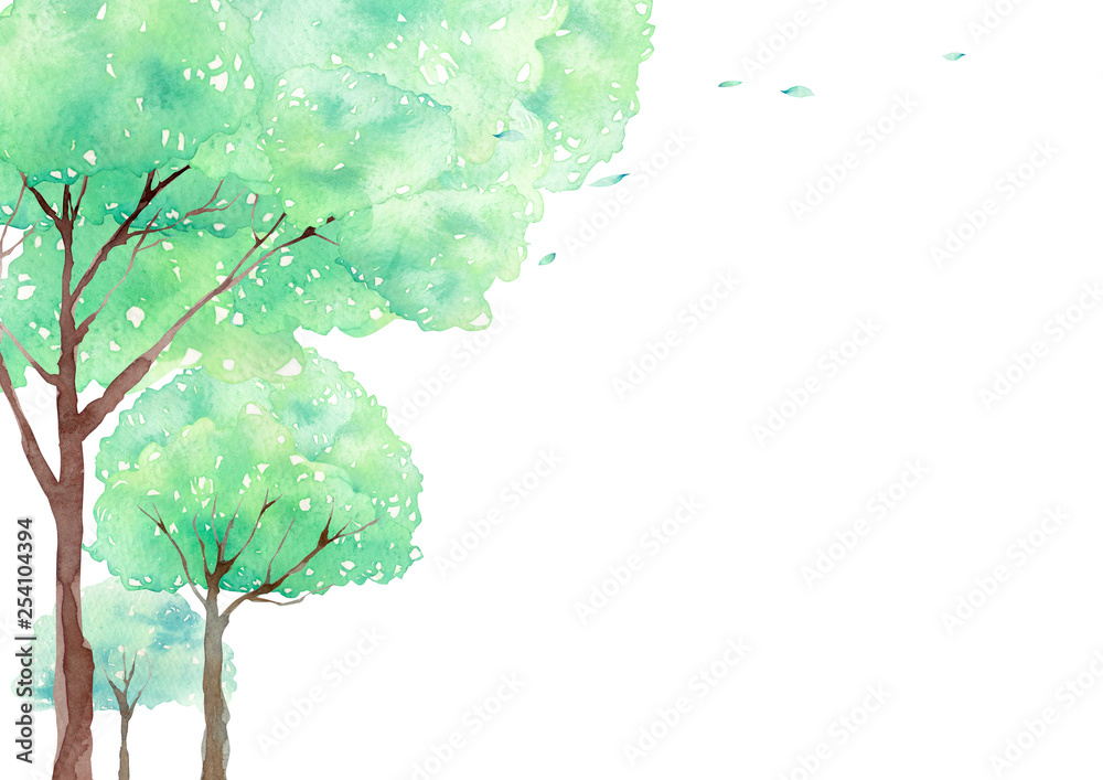新緑の森林風景 背景 水彩 イラスト Stock イラスト Adobe Stock