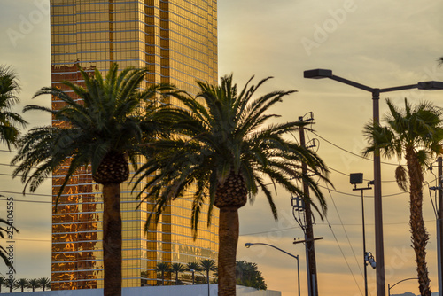 Photography Casino with mirror walls surrounded by palm trees at dusk