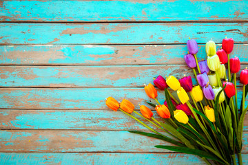 Tulip blossom flowers on vintage wooden background, border  frame design. vintage color tone - concept flower of spring or summer background