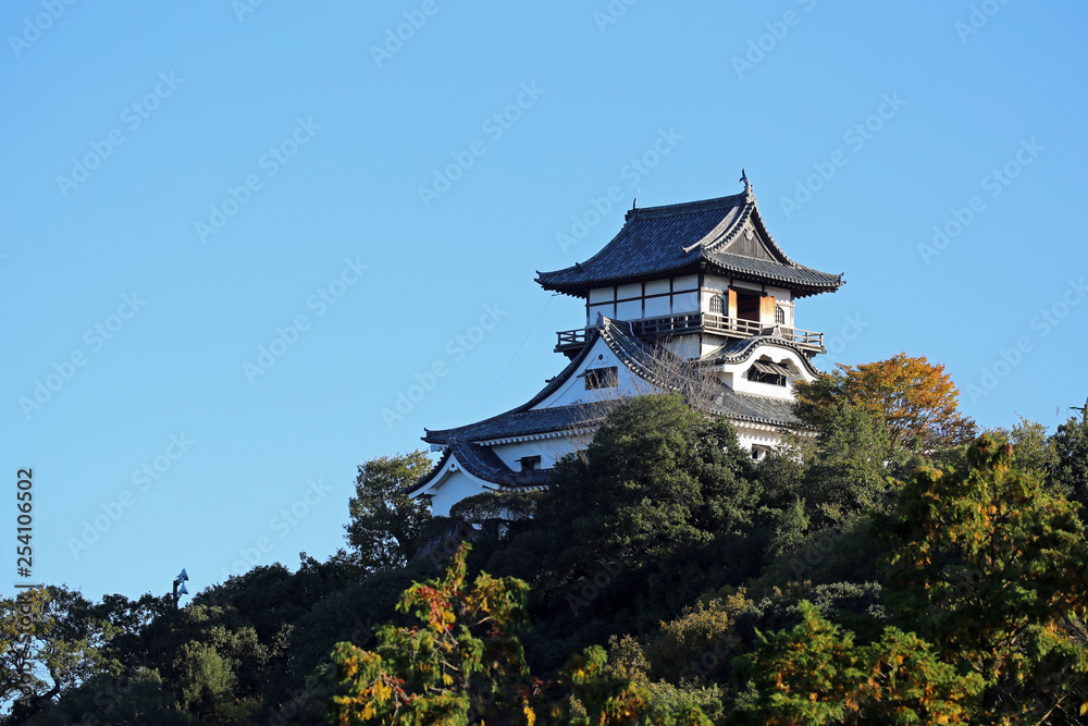 Fototapeta premium 晩秋の犬山城