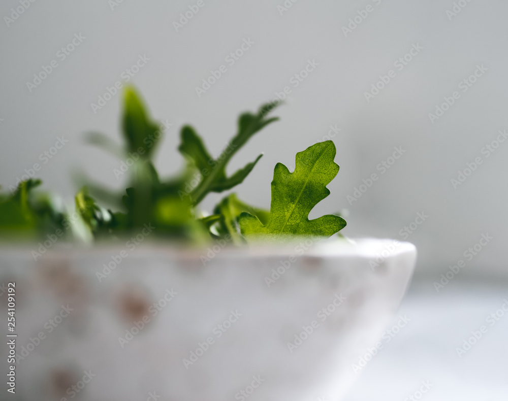 Arugula in craft ceramic boul. Arugula salad close up. Shallow DOF. Copy space for text. Fresh green arugula leaves in bowl on table Arugula in craft ceramic boul. Arugula salad close up. Shallow DOF. Copy space for text. Fresh green arugula leaves in bowl on table