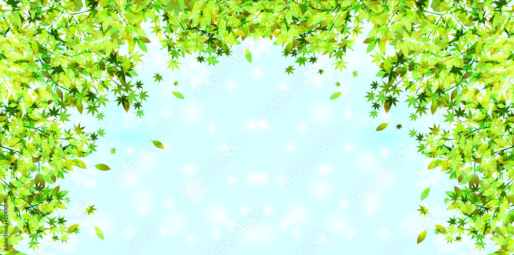 新緑 葉 緑 背景 新緑 葉 緑 背景