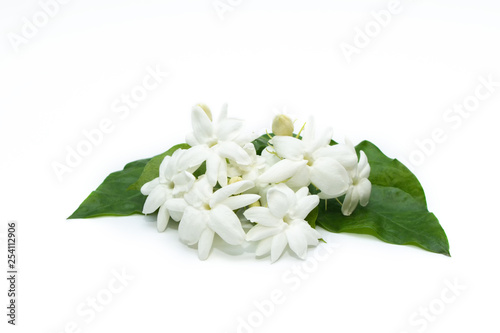 Jasmine flowers isolated in white background.