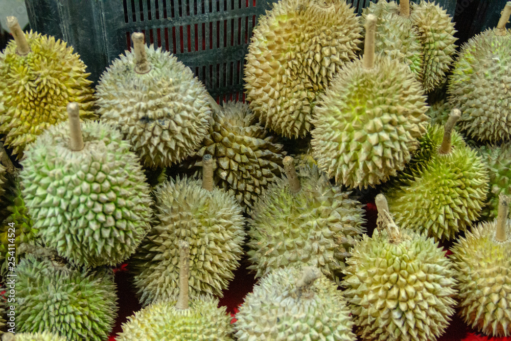 Asian durian fruit Asian durian fruit