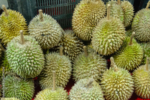 Asian durian fruit