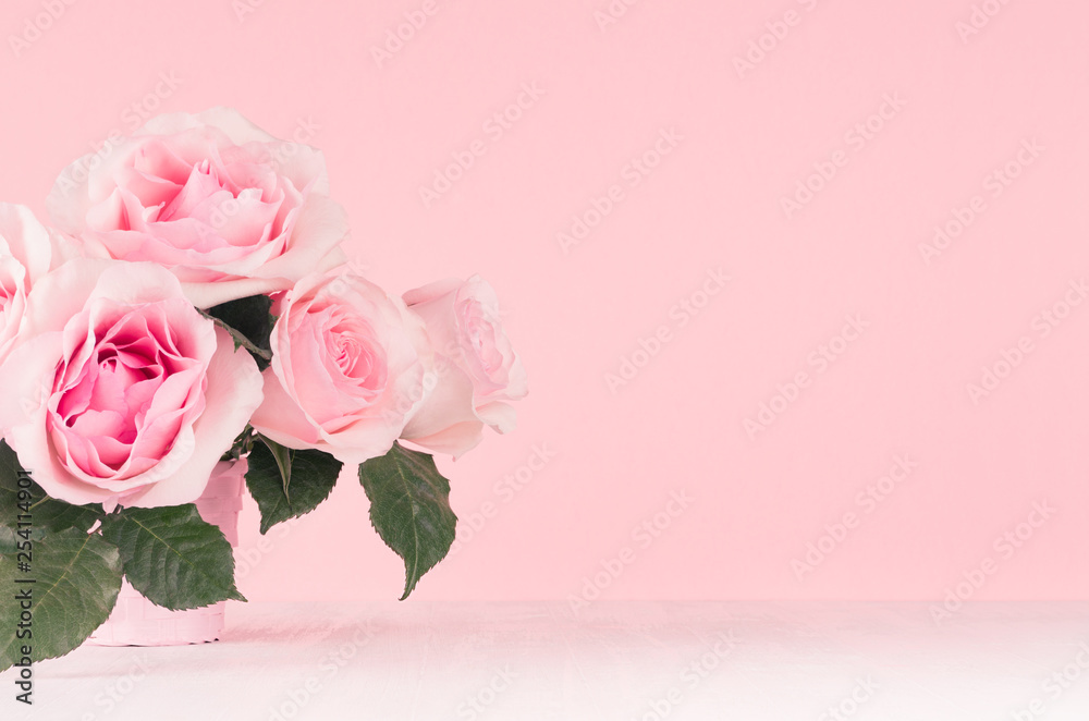 Fototapeta premium Girlish gentle flowers background - exquisite pink roses on white wood board, copy space.