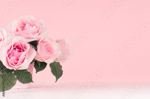 Girlish gentle flowers background - exquisite pink roses on white wood board, copy space.