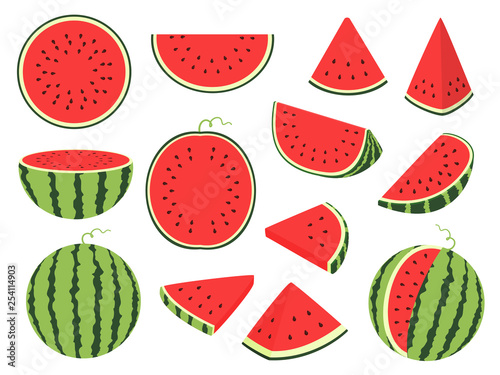 Cartoon slice watermelon. Green striped berry with red pulp and brown bones, cut and chopped fruit, half and sliced on white background