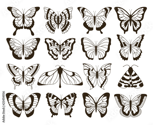 Monochrome butterflies. Black and white drawing, hand drawn tattoo shapes vintage collection. Vector butterfly isolated set © SpicyTruffel