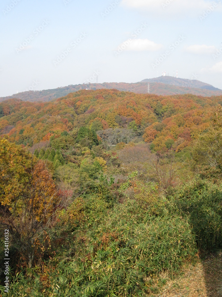 紅葉の山