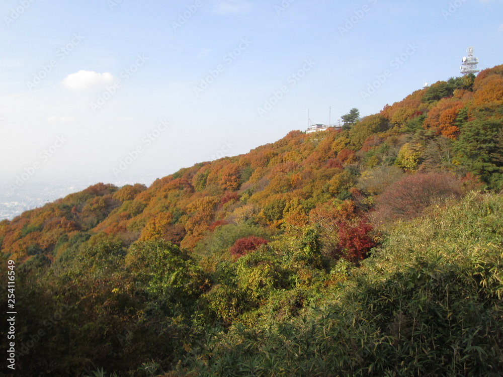 紅葉の山