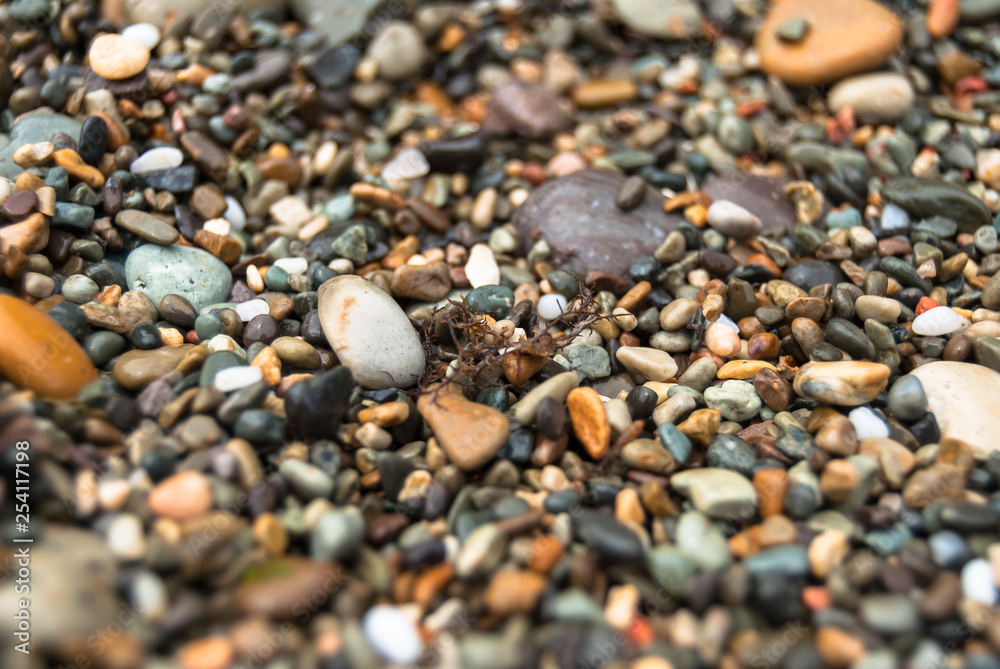 A different color pebble on the beach A different color pebble on the beach