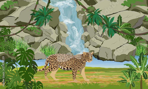 Jaguar near the tropical waterfall and large lake. Jaguar in the jungle. Big cat on the hunt. Amazonia rain forests. Realistic Vector Landscape