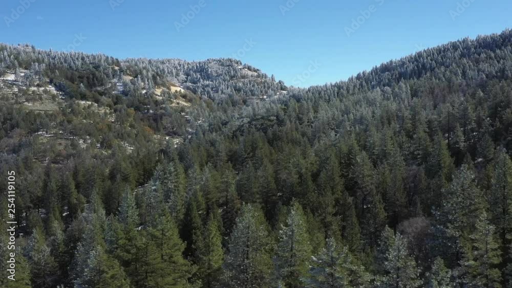 Aerial Slider Shot over green trees in California mountain woodlands, winter day Aerial Slider Shot over green trees in California mountain woodlands, winter day