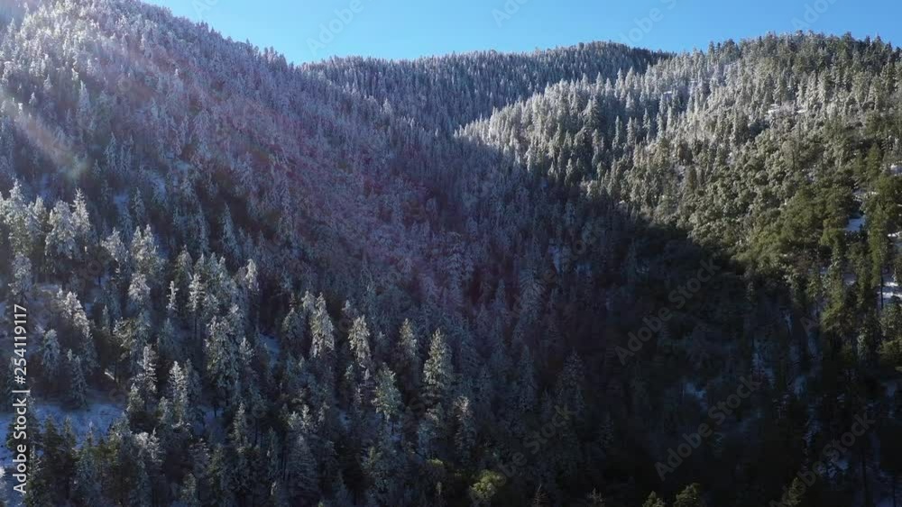Frosty winter forest valley, Tehachapi Mountains, California, Aerial Drone Shot Frosty winter forest valley, Tehachapi Mountains, California, Aerial Drone Shot