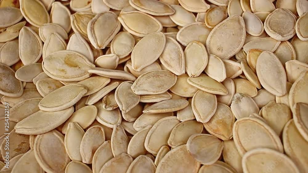 Pumpkin seed seeds closeup texture video on rolling rotating looping plate Pumpkin seed seeds closeup texture video on rolling rotating looping plate