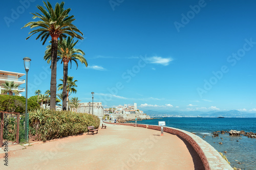 Wallpaper Mural The pedestrian promenade along the coast of the French town of Antibes with the old city wall and center in the distance Torontodigital.ca