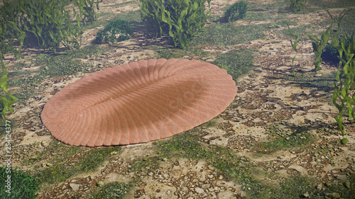 Obraz na plátně Dickinsonia, extinct creatures of the Ediacaran era, one of the first animals (3