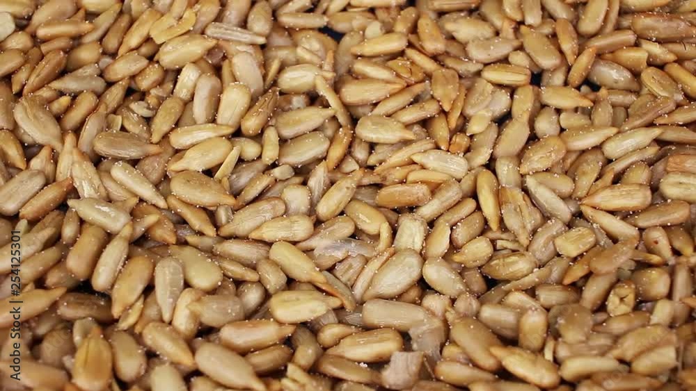 Sunflower seeds seed closeup texture video on rolling rotating looping plate Sunflower seeds seed closeup texture video on rolling rotating looping plate