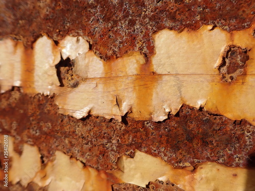 Wallpaper Mural Rost Textur Torontodigital.ca