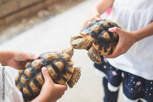 Two asian child girls holding and playing with turtle together with fun