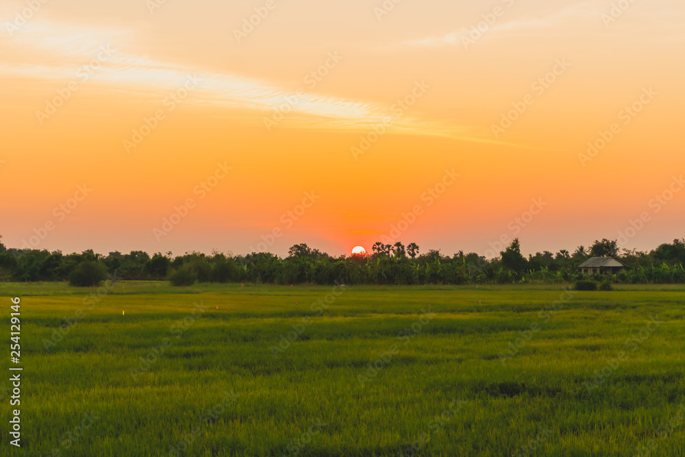 Mountain scenery view with twilight sky beautiful magenta color tone theme sunset and sunrise. Mountain scenery view with twilight sky beautiful magenta color tone theme sunset and sunrise.