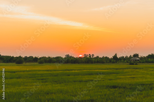 Mountain scenery view with twilight sky beautiful magenta color tone theme sunset and sunrise.