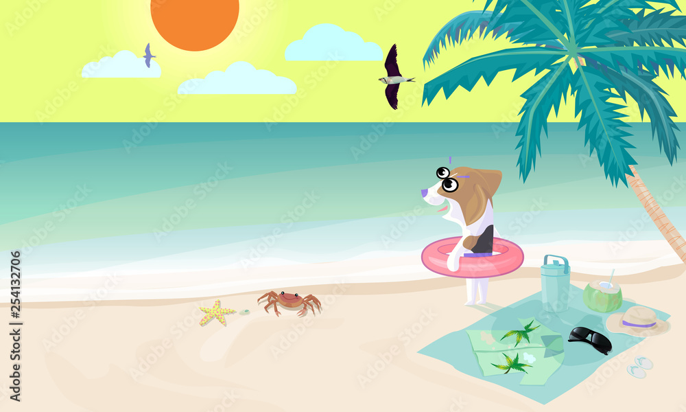 Beagle dog wear swim ring on beach prepare to play water in sea. Beagle dog wear swim ring on beach prepare to play water in sea.