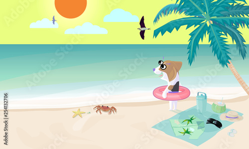 Beagle dog wear swim ring on beach prepare to play water in sea.