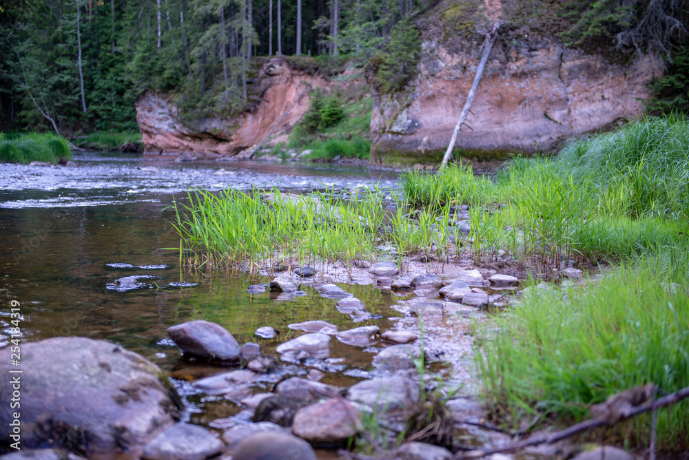 sunrise over the forest river in woods, early light sunrise over the forest river in woods, early light