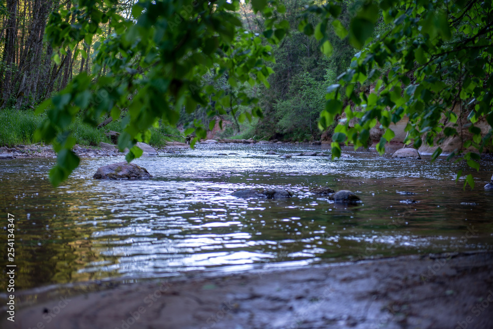 Fototapeta premium sunrise over the forest river in woods, early light