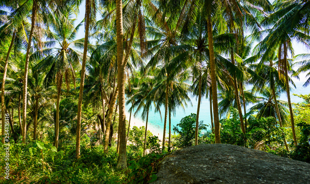 (selective focus) Stunning view of a paradisiacal beach seen through a rich and green vegetation of palm trees with white sand, people sunbathing and turquoise clear water. Surin Beach, Thailand. (selective focus) Stunning view of a paradisiacal beach seen through a rich and green vegetation of palm trees with white sand, people sunbathing and turquoise clear water. Surin Beach, Thailand.