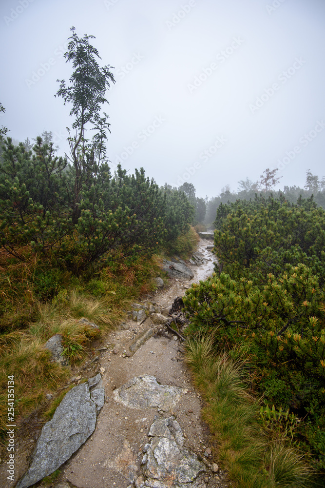 tourist hiking trail in foggy misty day with rain