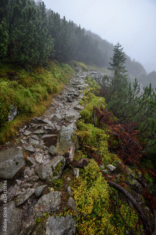 tourist hiking trail in foggy misty day with rain tourist hiking trail in foggy misty day with rain