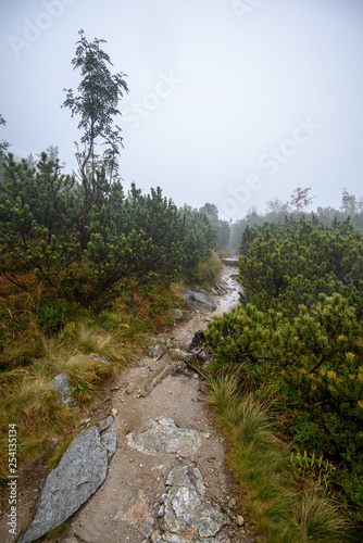 tourist hiking trail in foggy misty day with rain