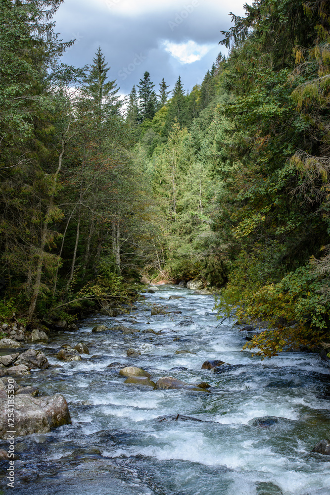 fast mountain rocky river in forest with waterfall fast mountain rocky river in forest with waterfall