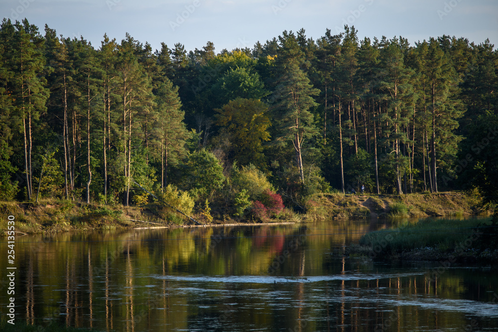 calm lake in bright sun light with reflections of clouds and trees and blue sky calm lake in bright sun light with reflections of clouds and trees and blue sky