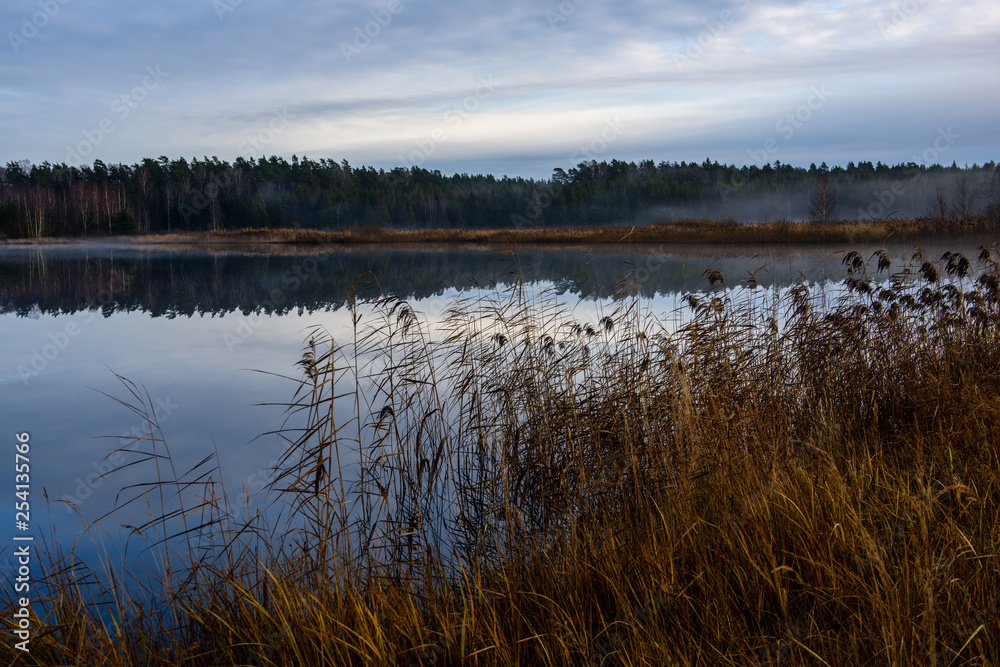 calm lake in bright sun light with reflections of clouds and trees and blue sky calm lake in bright sun light with reflections of clouds and trees and blue sky