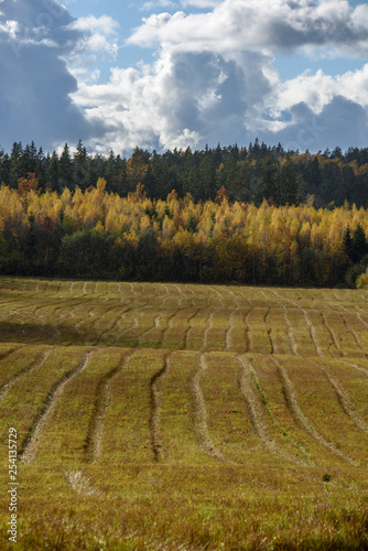 empty countryside fields in late autumn